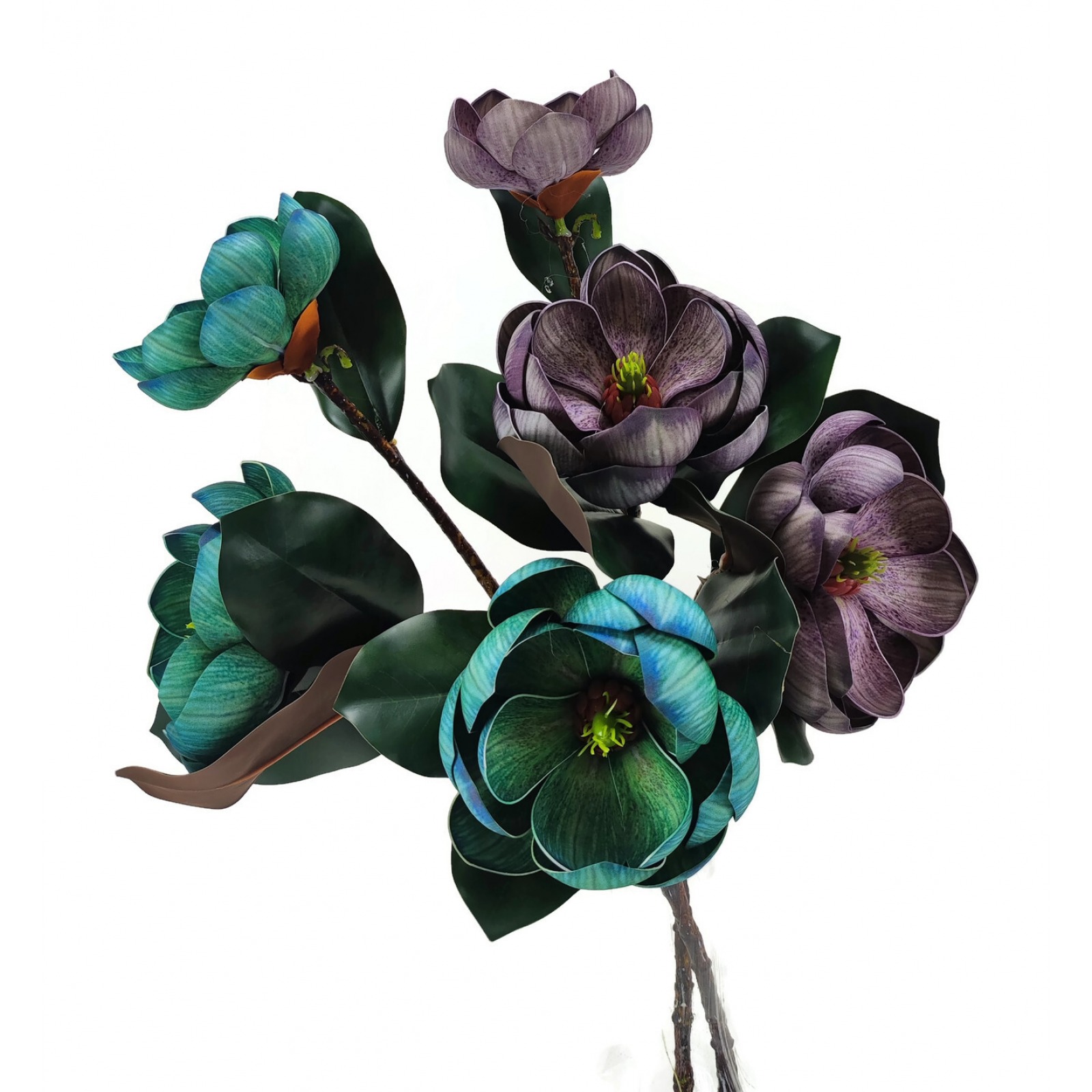 Magnolia gałązkowa