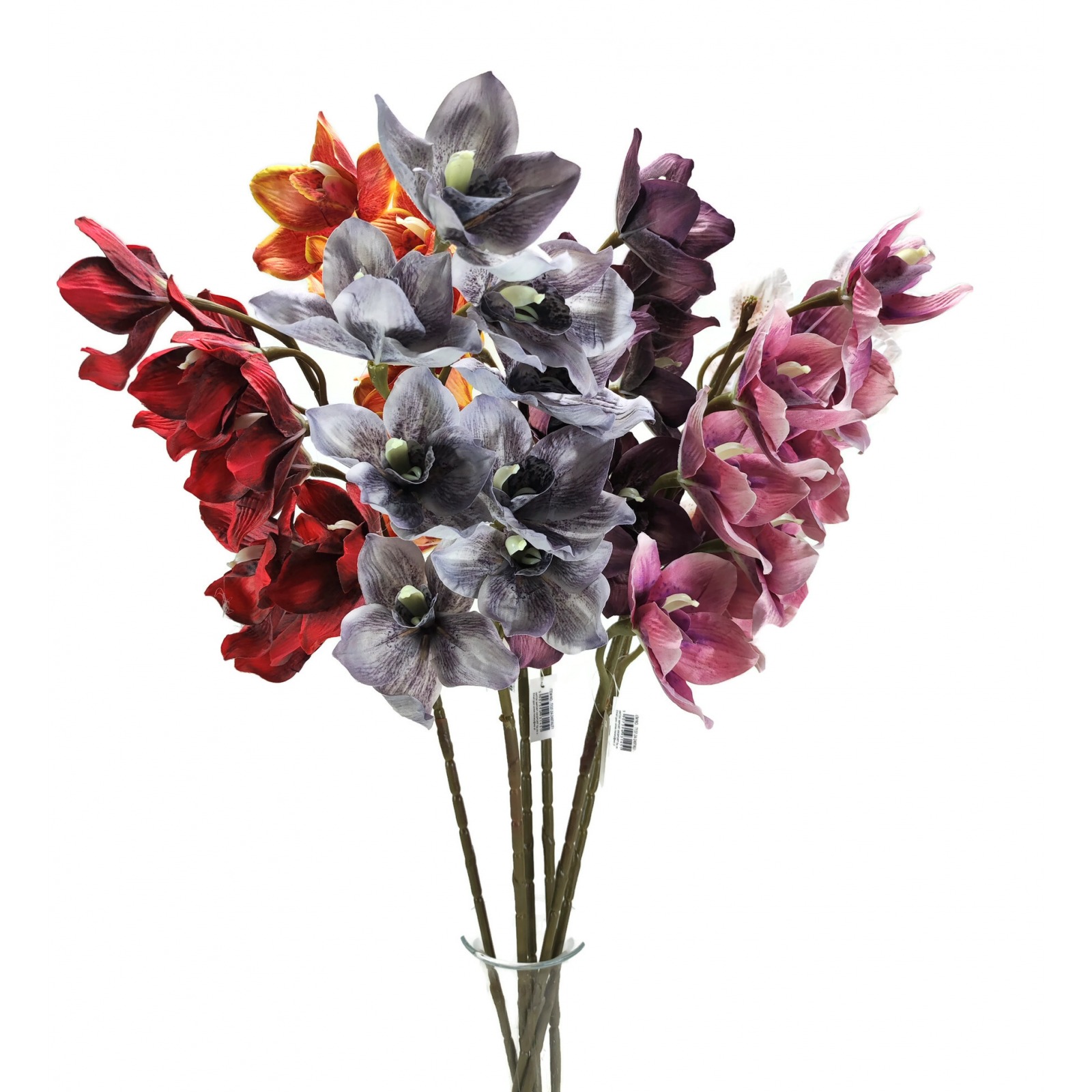 Storczyk cymbidium jesienny