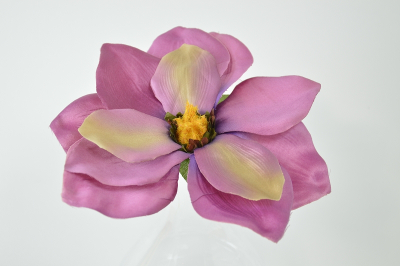 Magnolia mix 9 kolorów