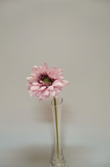 Gerbera wazonów mix