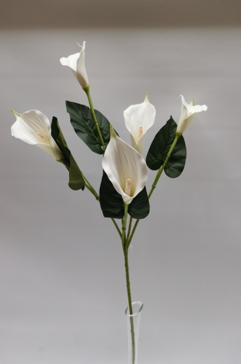 Kalla ''5''