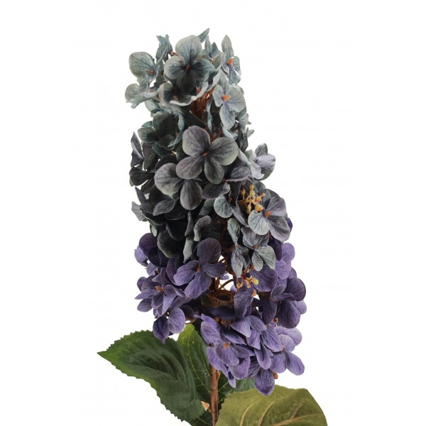 Miniatura: Hortensja mix kolorów 80 cm