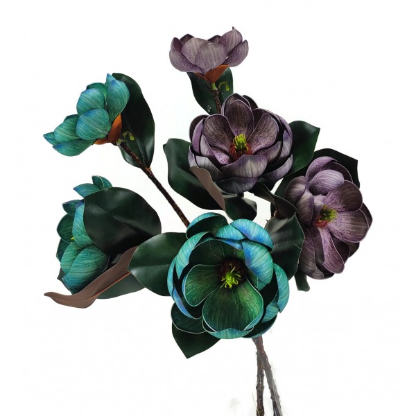 Miniatura: Magnolia gałązkowa