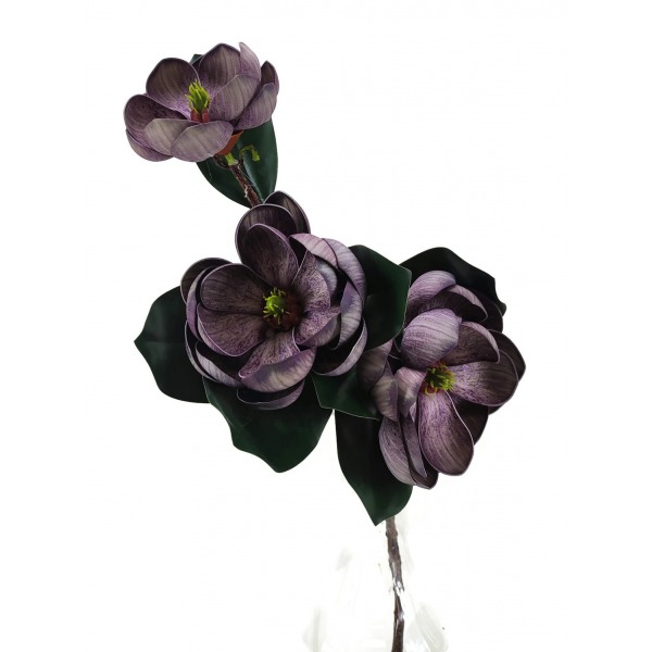 Miniatura: Magnolia gałązkowa