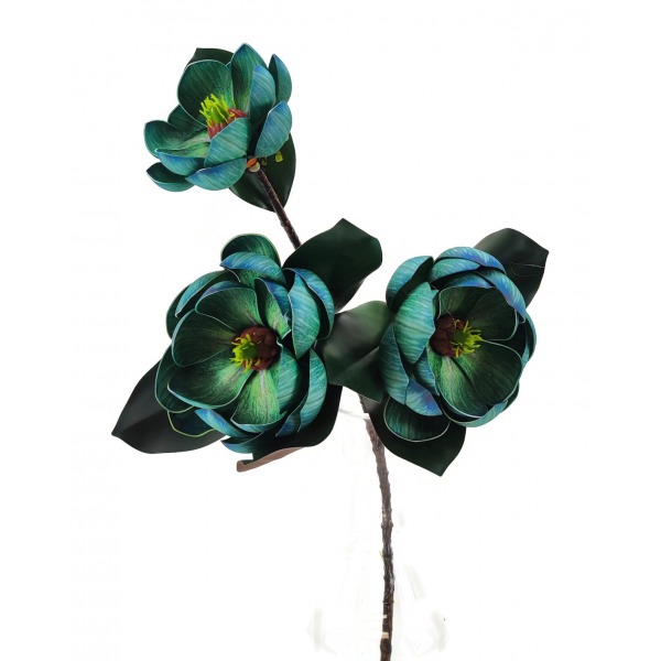 Miniatura: Magnolia gałązkowa