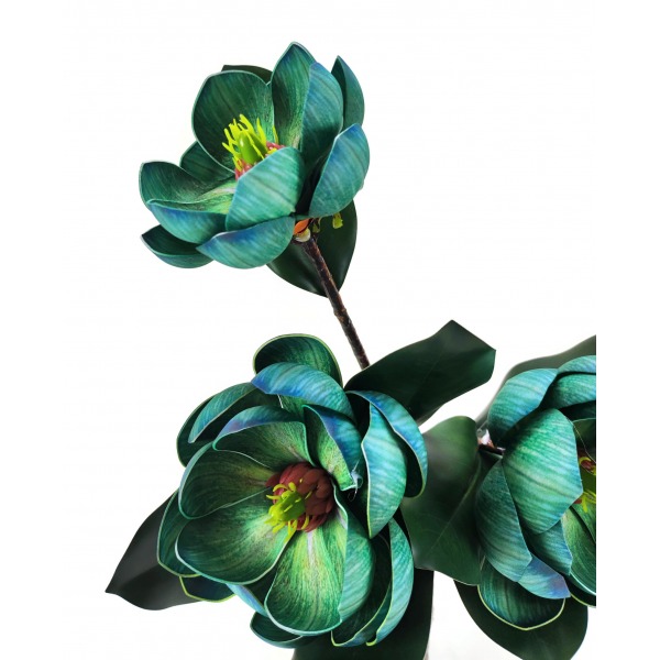 Miniatura: Magnolia gałązkowa
