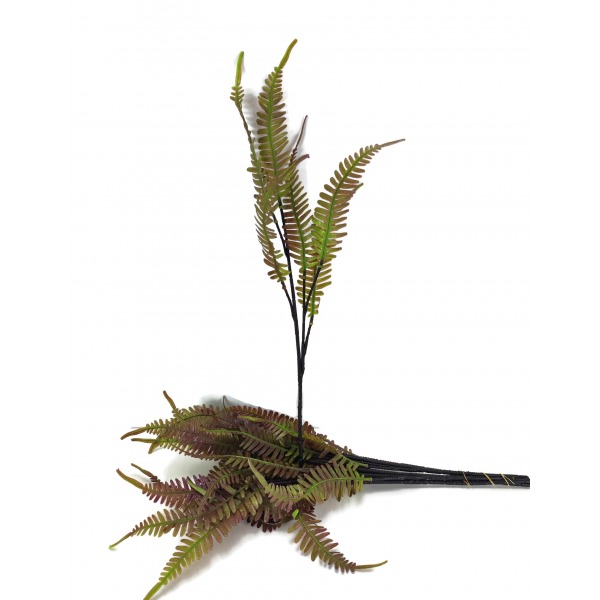 Miniatura: Paproć cienka mix kolorów 50 cm