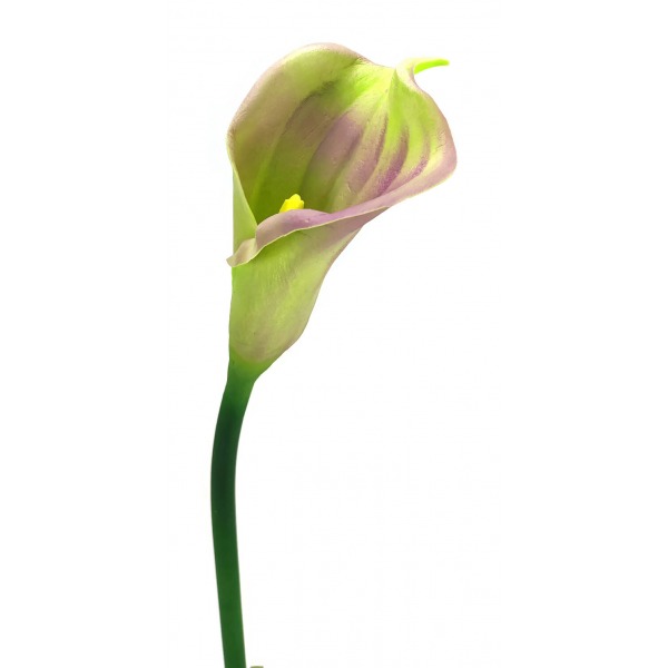 Miniatura: Calla piankowa mix kolorów 65 cm