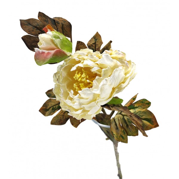 Miniatura: Gałązka Piwonii palonej 60 cm 4 kolory