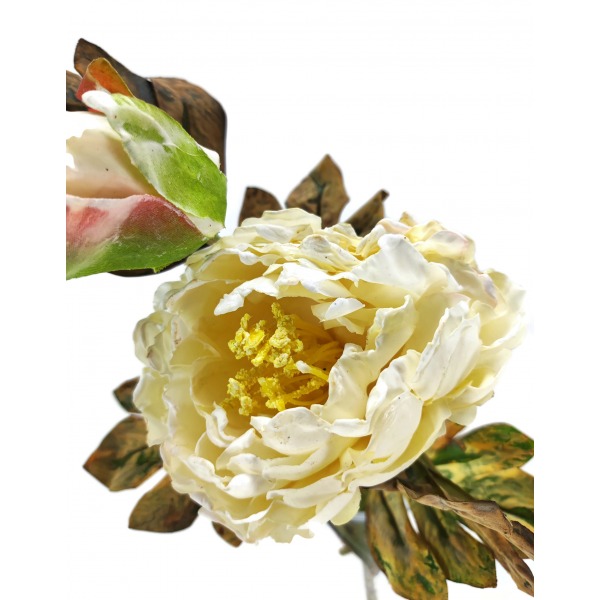 Miniatura: Gałązka Piwonii palonej 60 cm 4 kolory