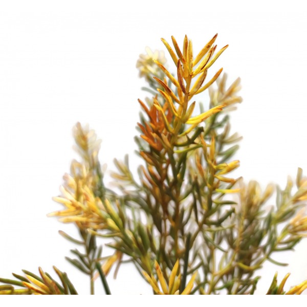 Miniatura: Sztuczny bukiet dodatków florystycznych 40 cm – zielone gałązki dekoracyjne, mix kolorów