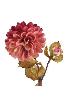 Miniatura: Dalia