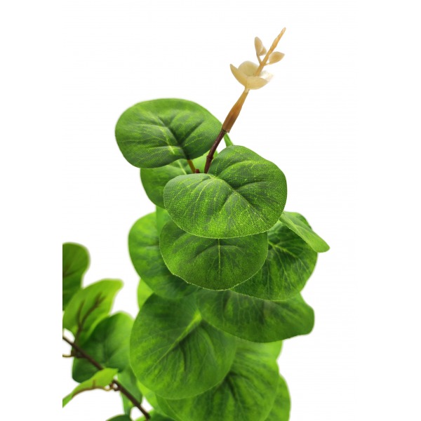Miniatura: Sztuczna gałązka eukaliptusa 50 cm – zielone liście dekoracyjne
