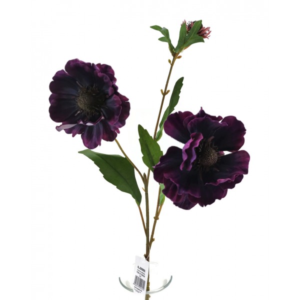 Miniatura: Anemon 2 kwiaty + pąk 