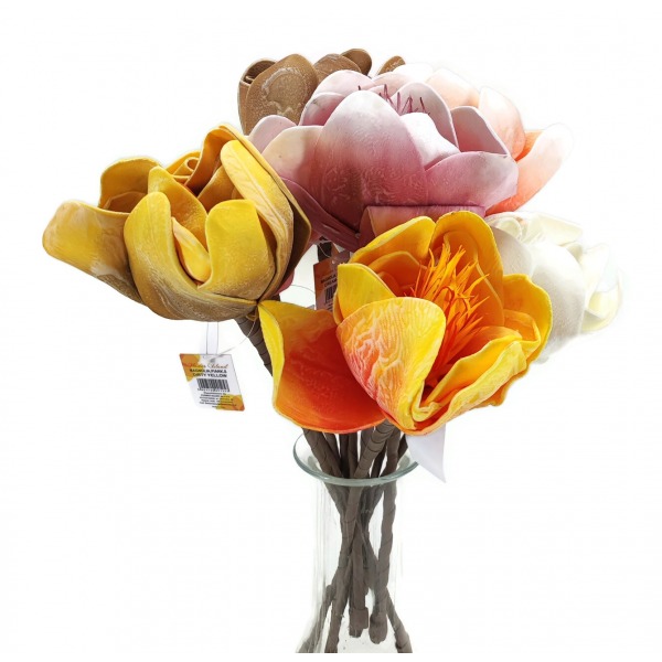 Miniatura: Magnolia piankowa