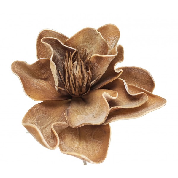 Miniatura: Magnolia piankowa