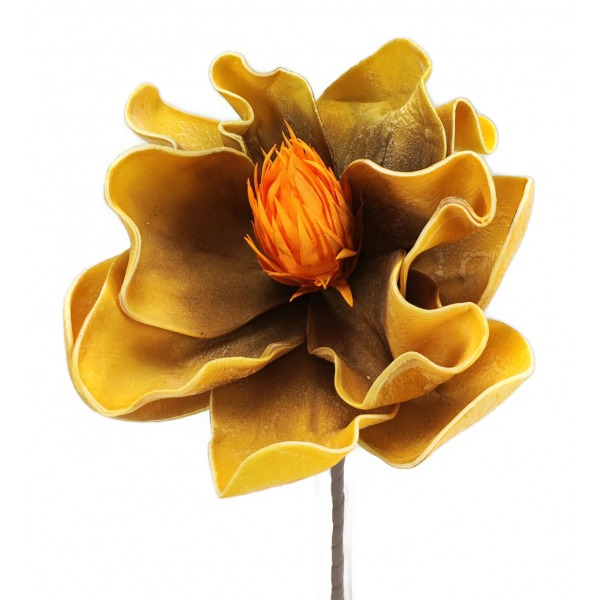 Miniatura: Magnolia piankowa
