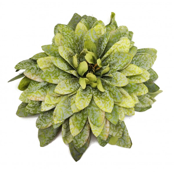 Miniatura: Dalia wyrobowa