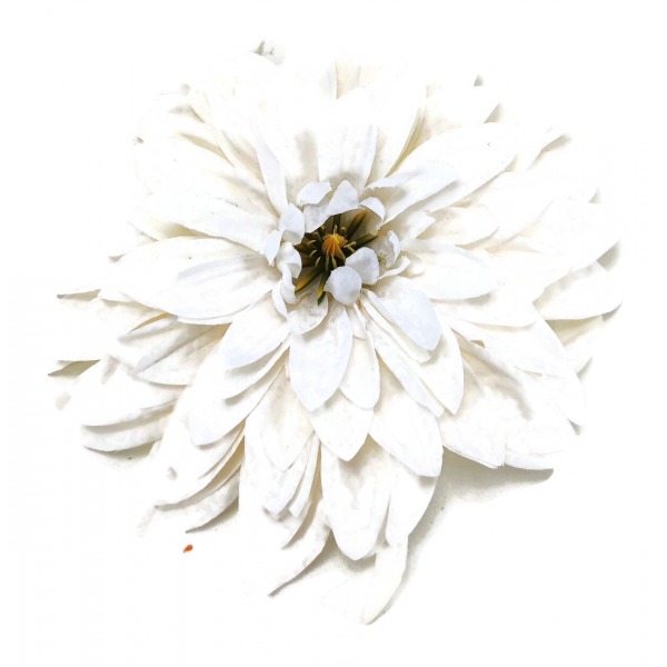 Miniatura: Dalia wyrobowa