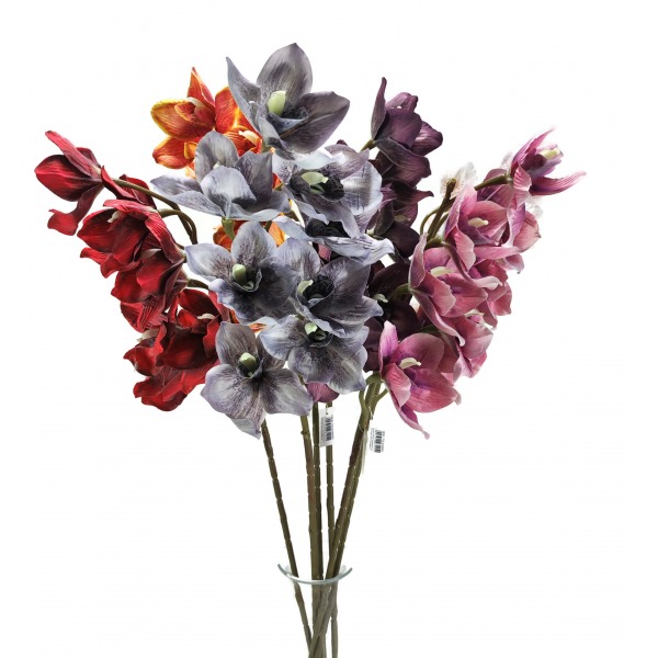 Miniatura: Storczyk cymbidium jesienny