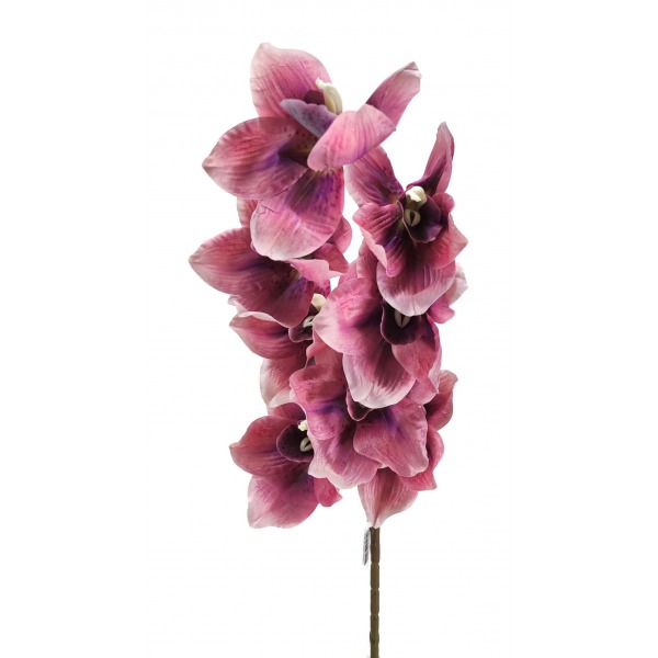 Miniatura: Storczyk cymbidium jesienny