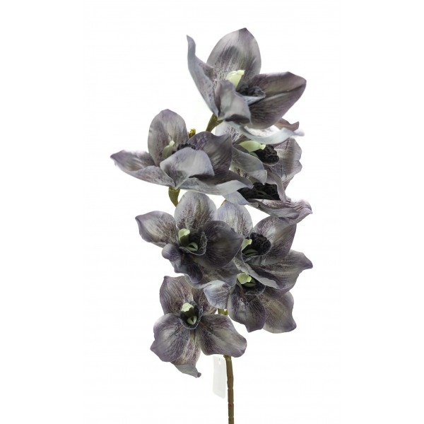 Miniatura: Storczyk cymbidium jesienny