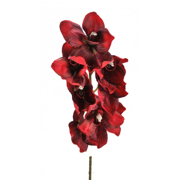 Miniatura: Storczyk cymbidium jesienny