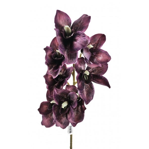 Miniatura: Storczyk cymbidium jesienny