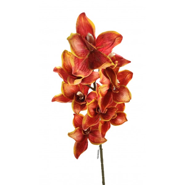 Miniatura: Storczyk cymbidium jesienny