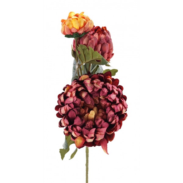 Miniatura: Chryzantema''3''