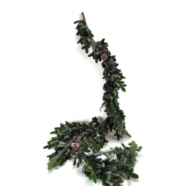 Miniatura: Girlanda z jodły z szyszkami