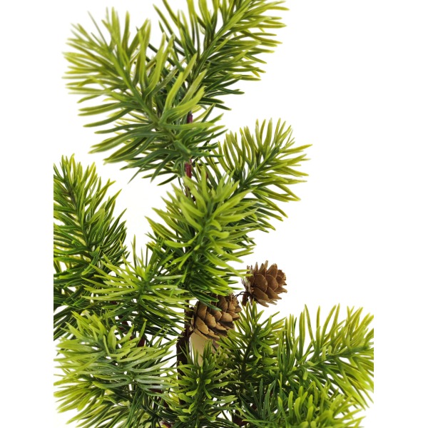 Miniatura: Gałązka jodły