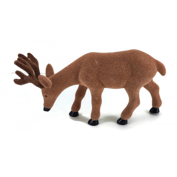 Miniatura: Renifer brązowy