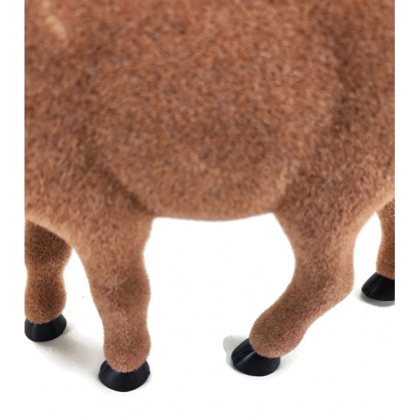 Miniatura: Renifer brązowy