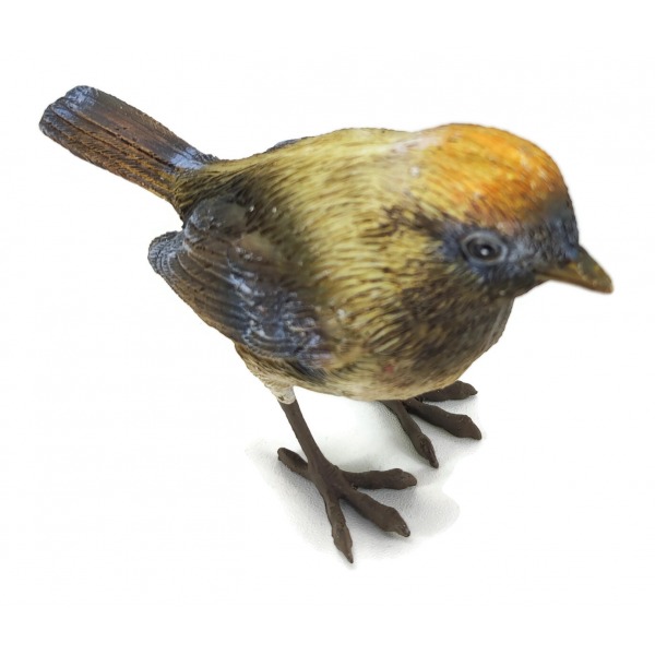 Miniatura: Ptaszek w jesiennych kolorach
