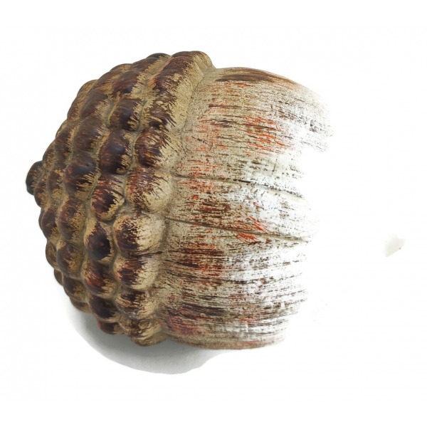 Miniatura: Żołędzie brązowe mix