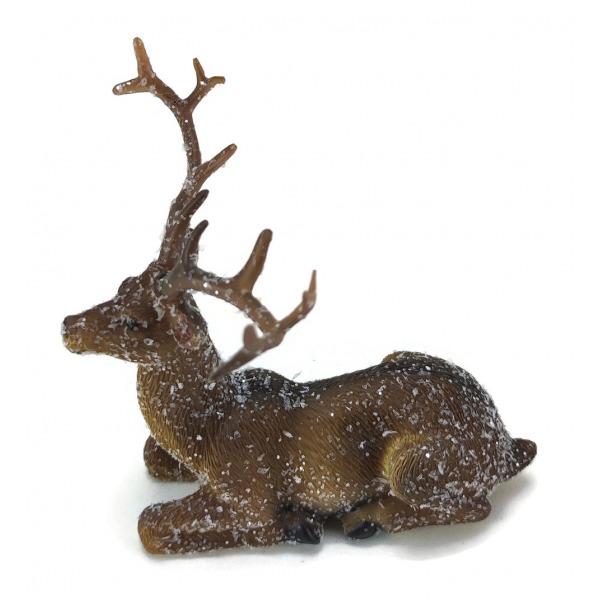 Miniatura: Jelonek śnieżony