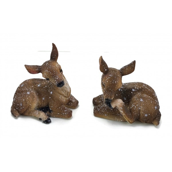 Miniatura: Sarenka ośnieżona