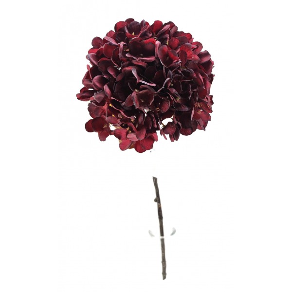 Miniatura: hortensja jesienna