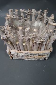 Miniatura: Osłonka z korzeniami