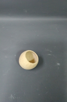Miniatura: Susz