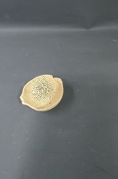 Miniatura: Susz