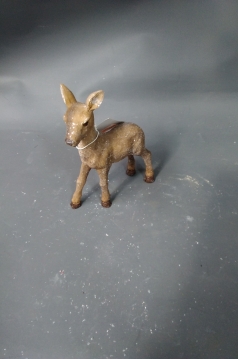 Miniatura: Sarna 