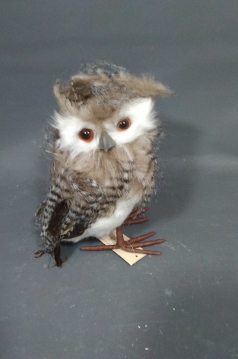 Miniatura: Sowa