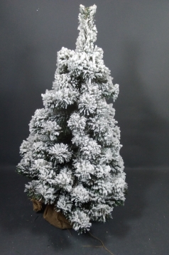 Miniatura: Choinka
