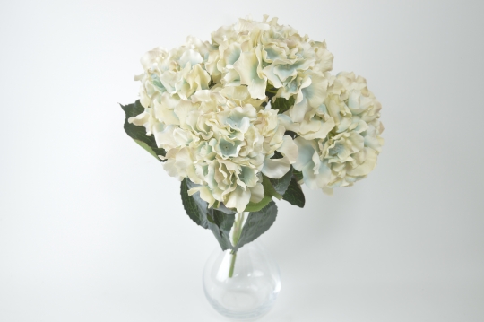 Miniatura: Bukiet Hortensji ''5''