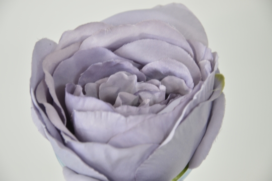 Miniatura: Róża Wyrobowa mix 4 kolorów