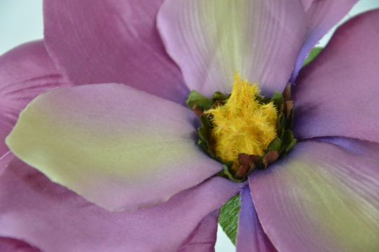 Miniatura: Magnolia mix 9 kolorów
