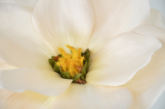 Miniatura: Magnolia mix 9 kolorów