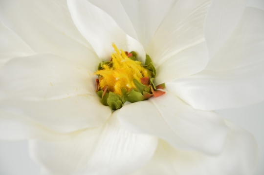 Miniatura: Magnolia mix 9 kolorów